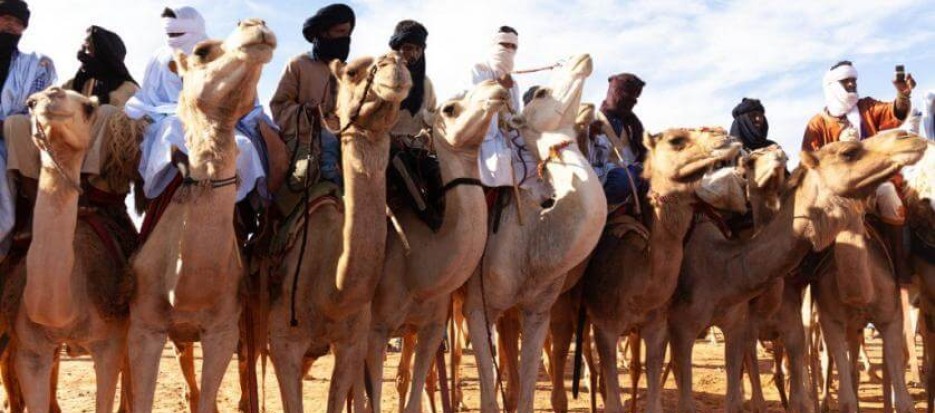 Camel Caravan in Mauritania